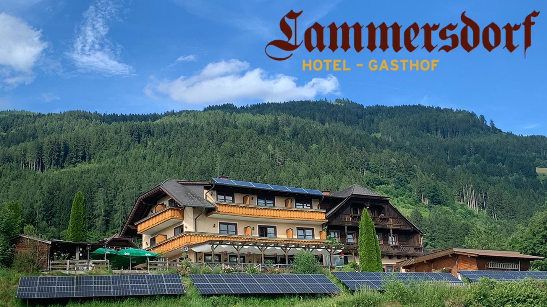 Hotel-Gasthof Lammersdorf Millstatt Exterior foto